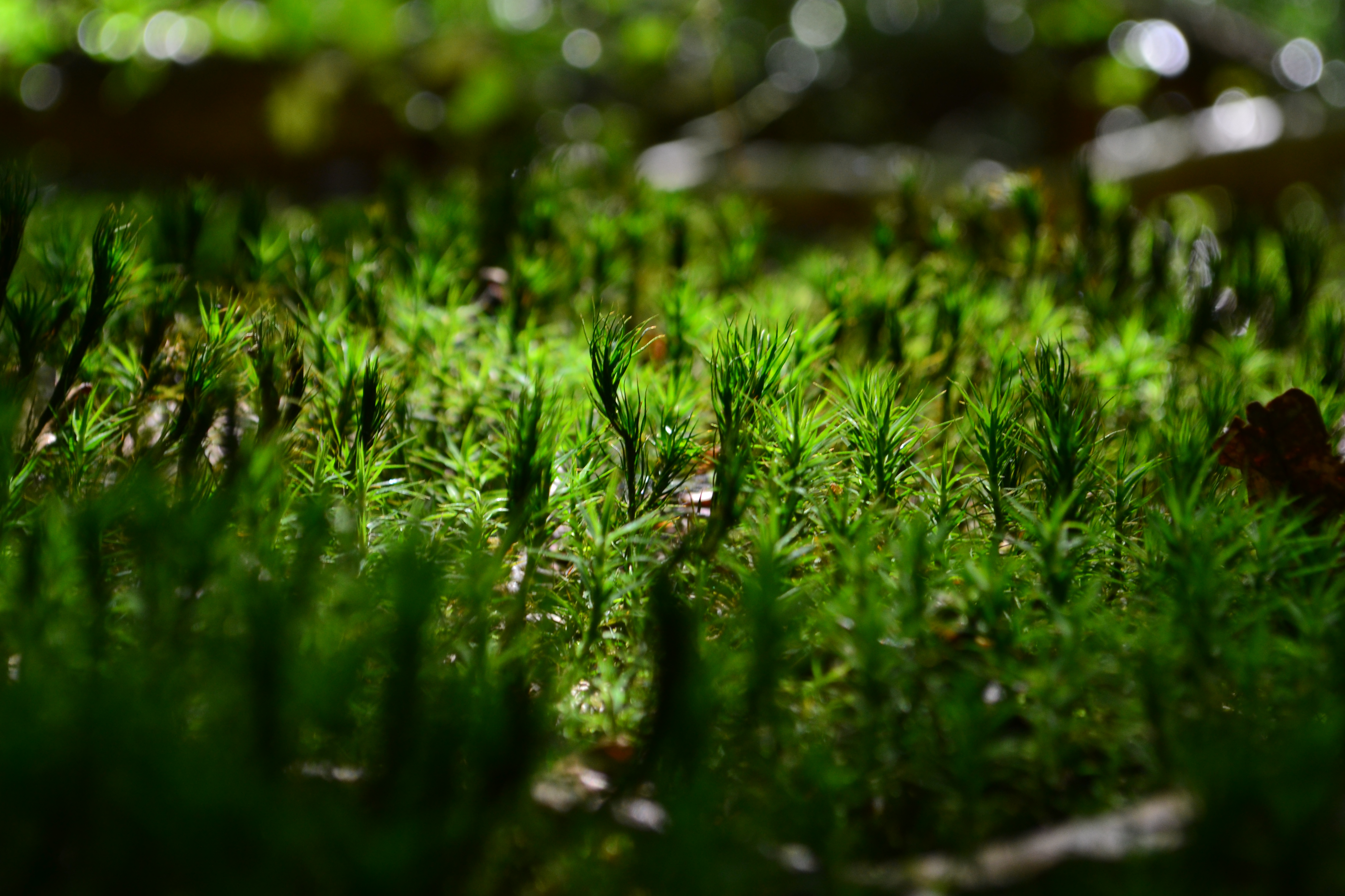 Slider Banner
